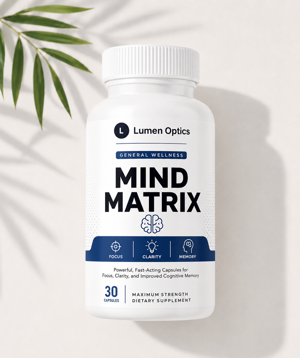 Mind Matrix