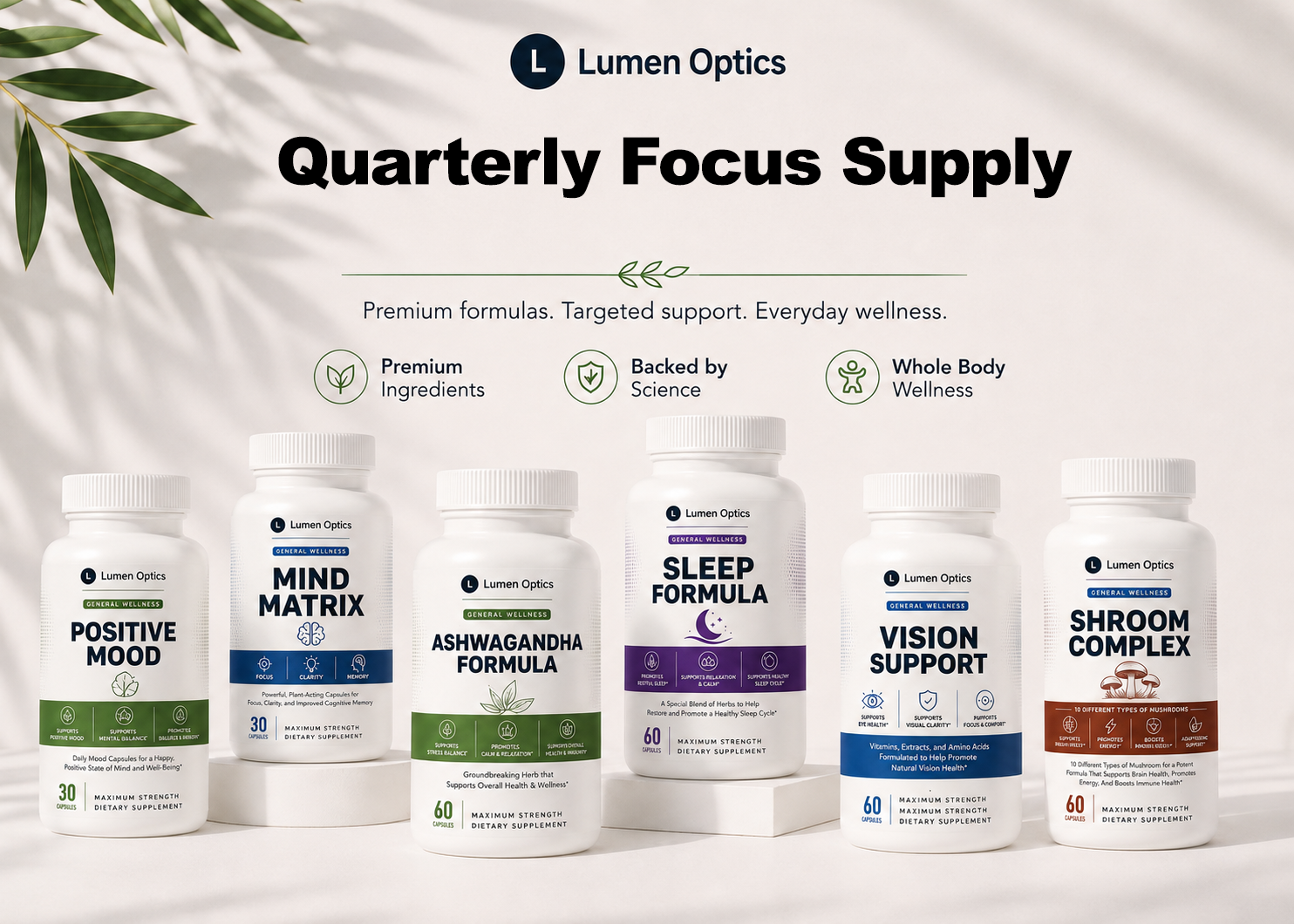 Quarterly Focus Supply