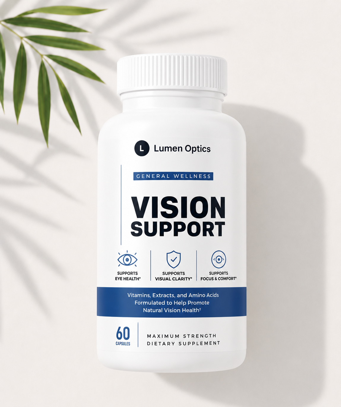 Vision Support